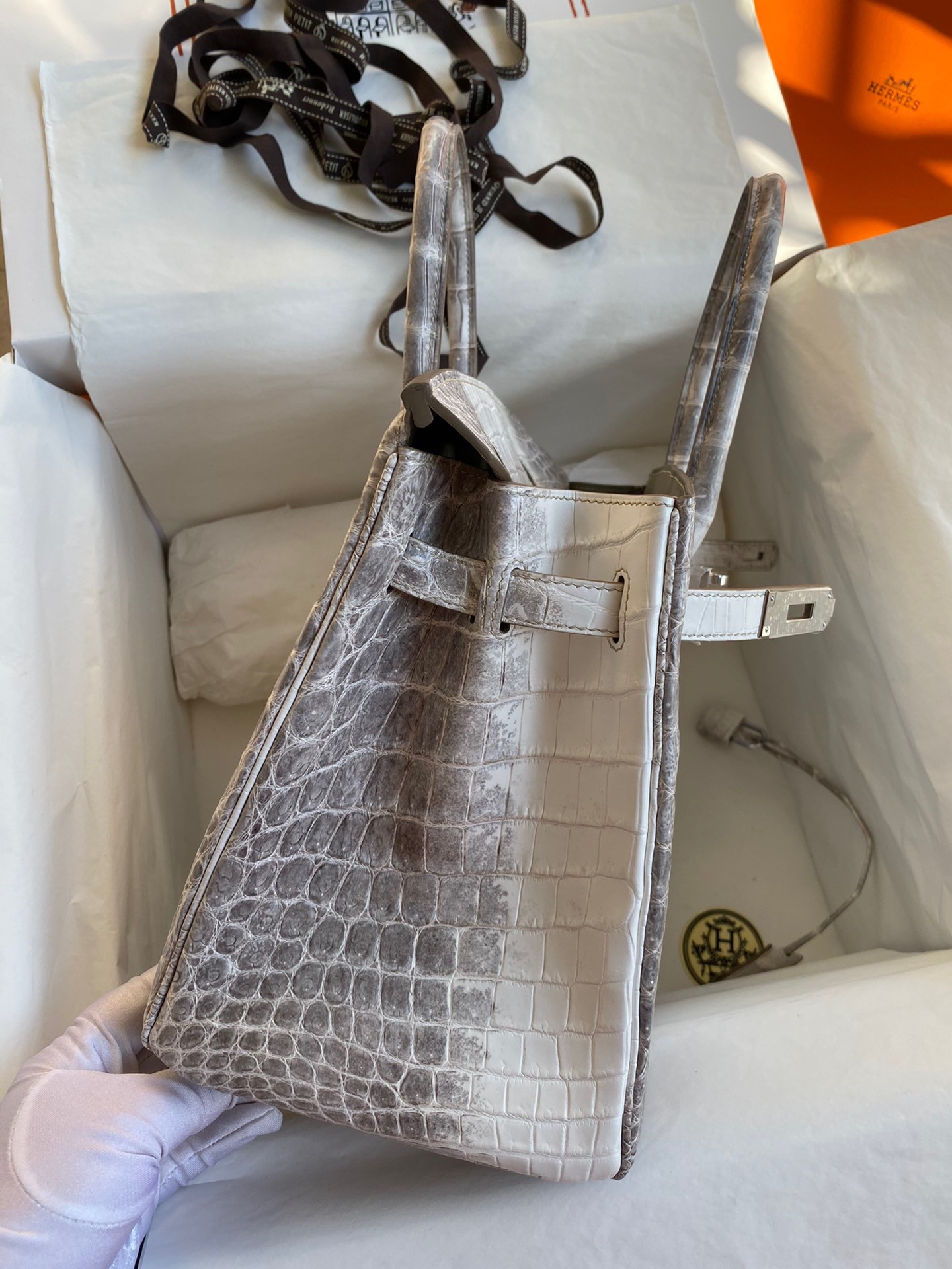 Hermes Birkin 25 Retourne Bag In Himalaya Niloticus Crocodile Skin