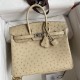 Hermes Birkin 25 Retourne Handmade Bag In Parchemin Ostrich Leather