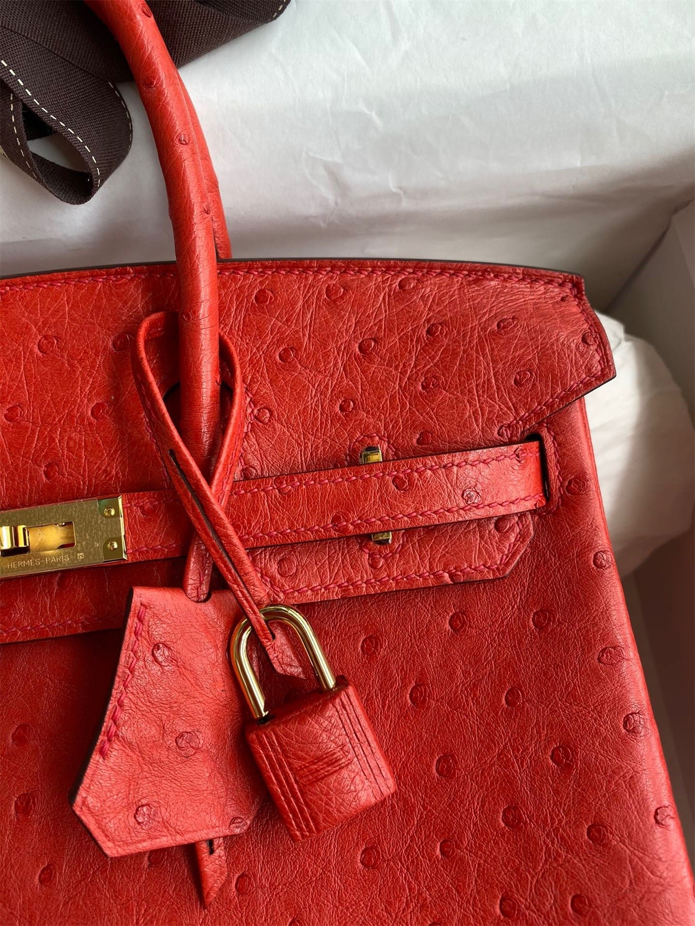 Hermes Birkin 25 Retourne Handmade Bag In Red Ostrich Leather