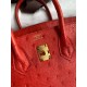 Hermes Birkin 25 Retourne Handmade Bag In Red Ostrich Leather