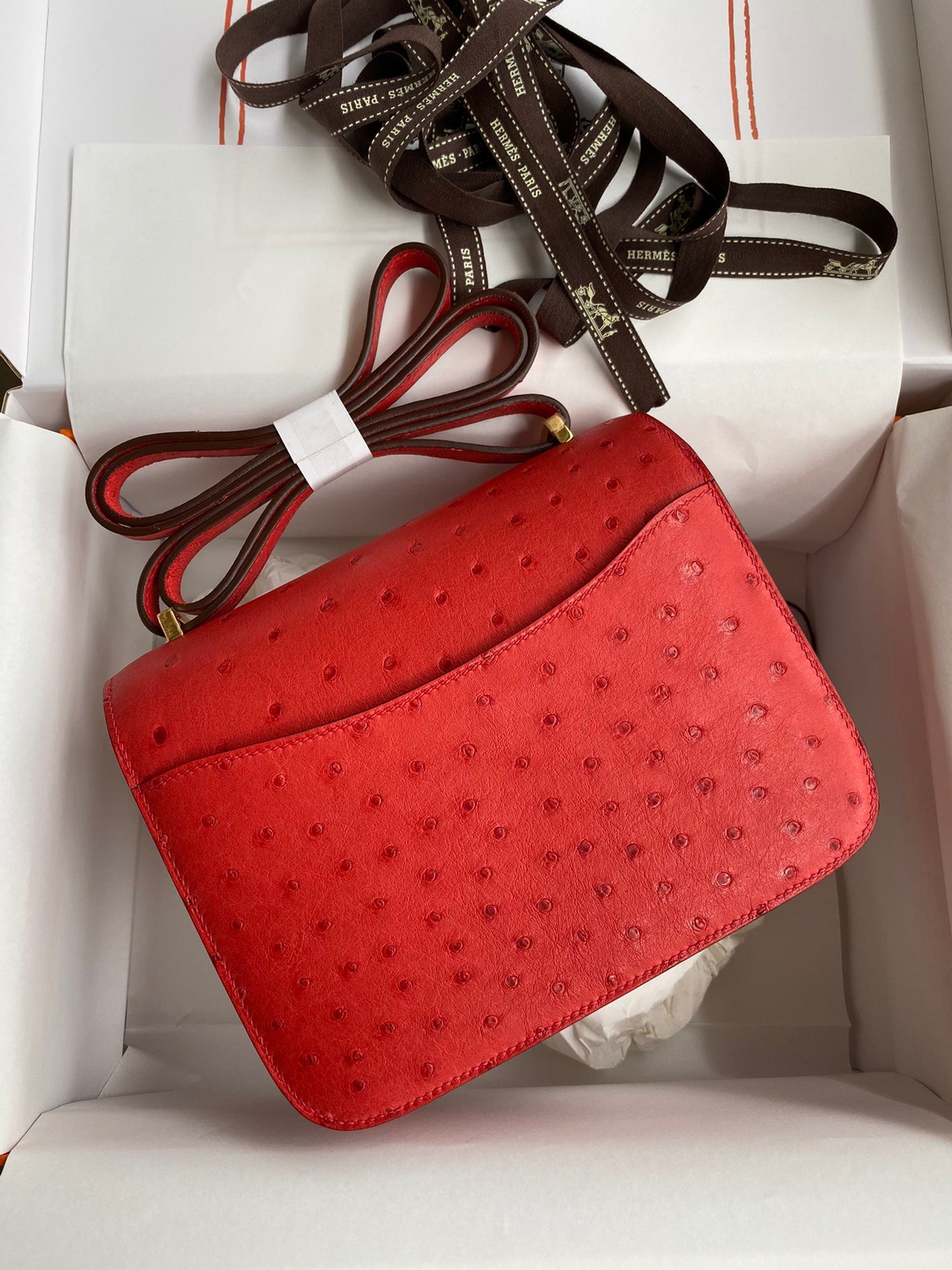 Hermes Constance 18 Handmade Bag In Red Ostrich Leather