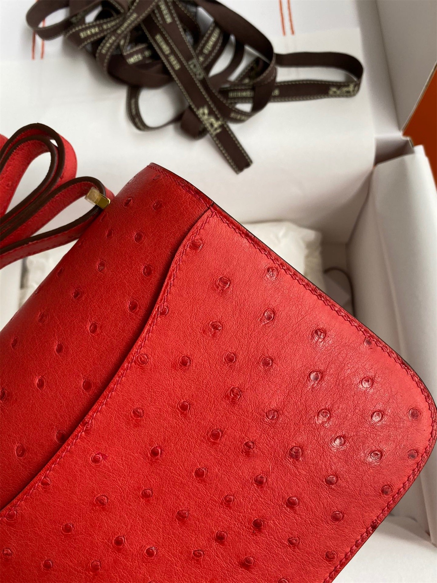 Hermes Constance 18 Handmade Bag In Red Ostrich Leather