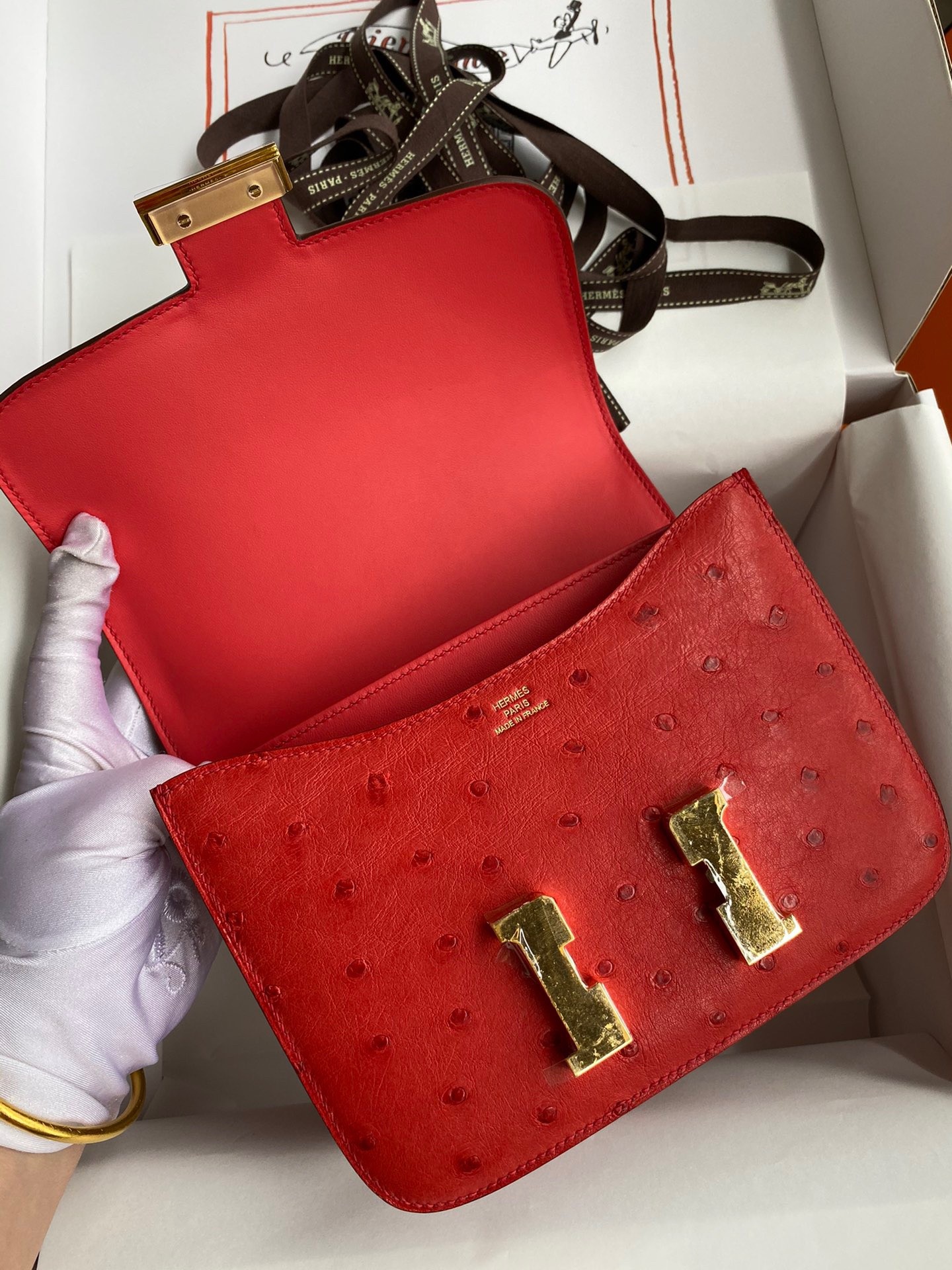 Hermes Constance 18 Handmade Bag In Red Ostrich Leather