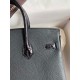 Hermes Touch Birkin 25 Bag in Black Togo and Shiny Alligator Leather