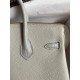 Hermes Touch Birkin 25 Bag in Pearl Grey Togo and Matte Alligator Leather