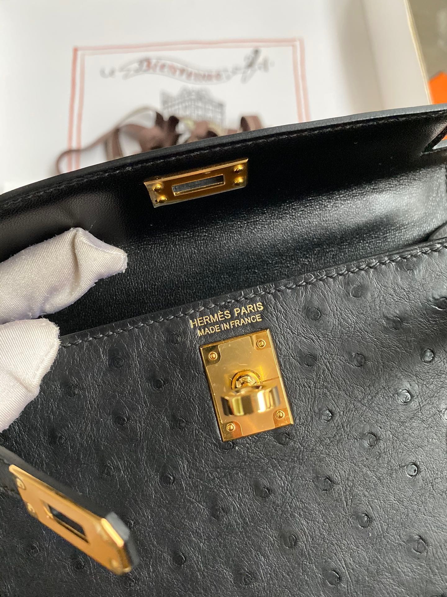 Hermes Kelly Mini II Sellier Handmade Bag In Black Ostrich Leather