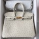 Hermes Birkin 25 Retourne Handmade Bag In Beton Ostrich Leather