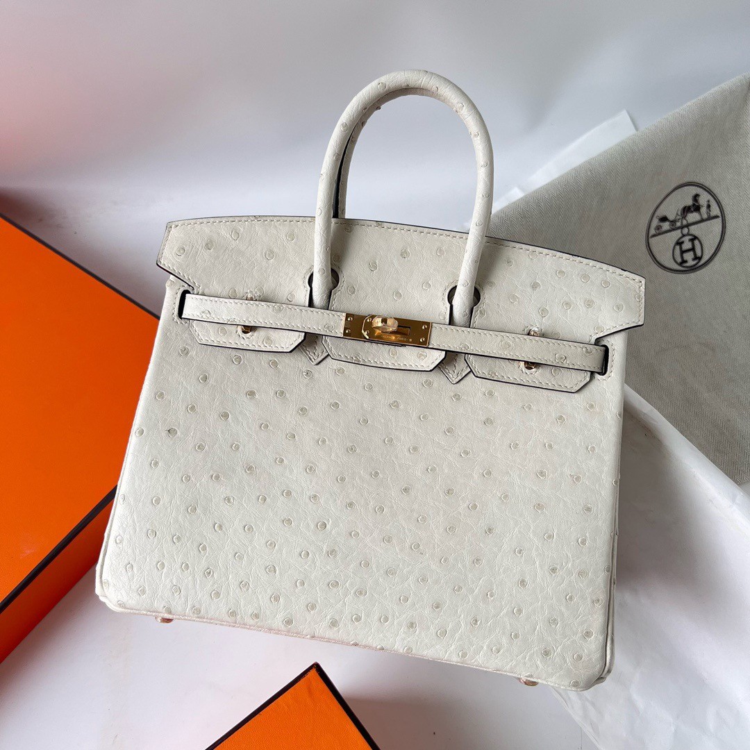 Hermes Birkin 25 Retourne Handmade Bag In Beton Ostrich Leather