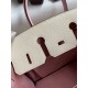 Hermes HSS Birkin 25 Bicolor Bag in Craie and Pink Chevre Mysore Leather