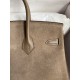 Hermes Birkin 25 Grizzly Bag in Taupe Veau Doblis and Swift Leather