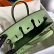 Hermes Birkin 25 Sellier Handmade Bag In Vert Criquet Epsom Calfskin