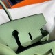 Hermes Birkin 25 Sellier Handmade Bag In Vert Criquet Epsom Calfskin