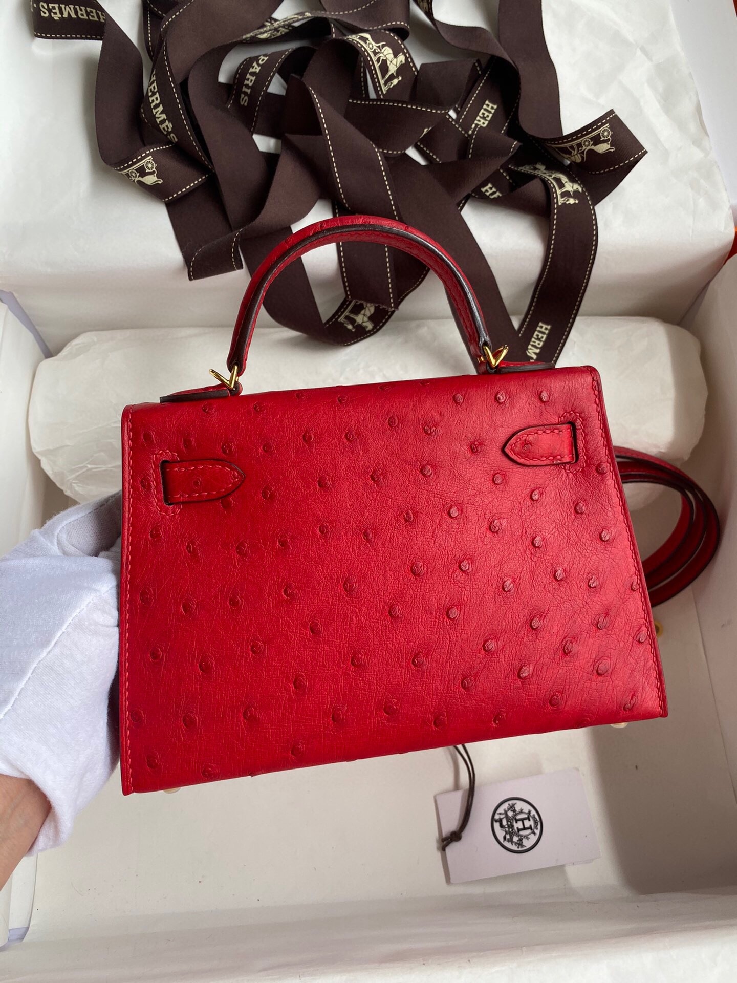 Hermes Kelly Mini II Sellier Handmade Bag In Red Ostrich Leather