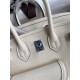 Hermes Birkin Cargo 25 Bag in Craie Toile and Swift Leather