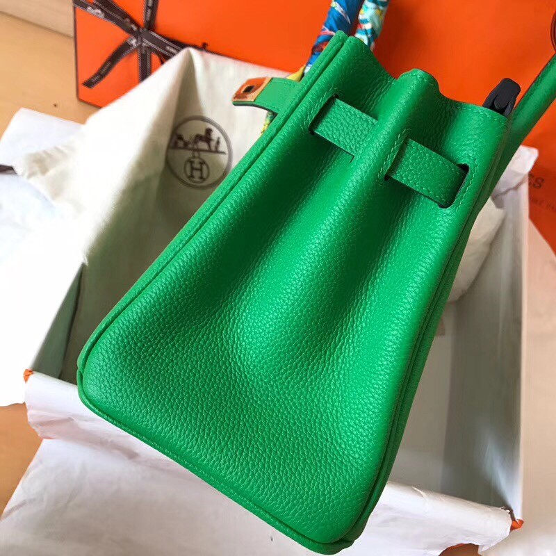 Hermes Bambou Birkin 30cm Clemence Handmade Bag