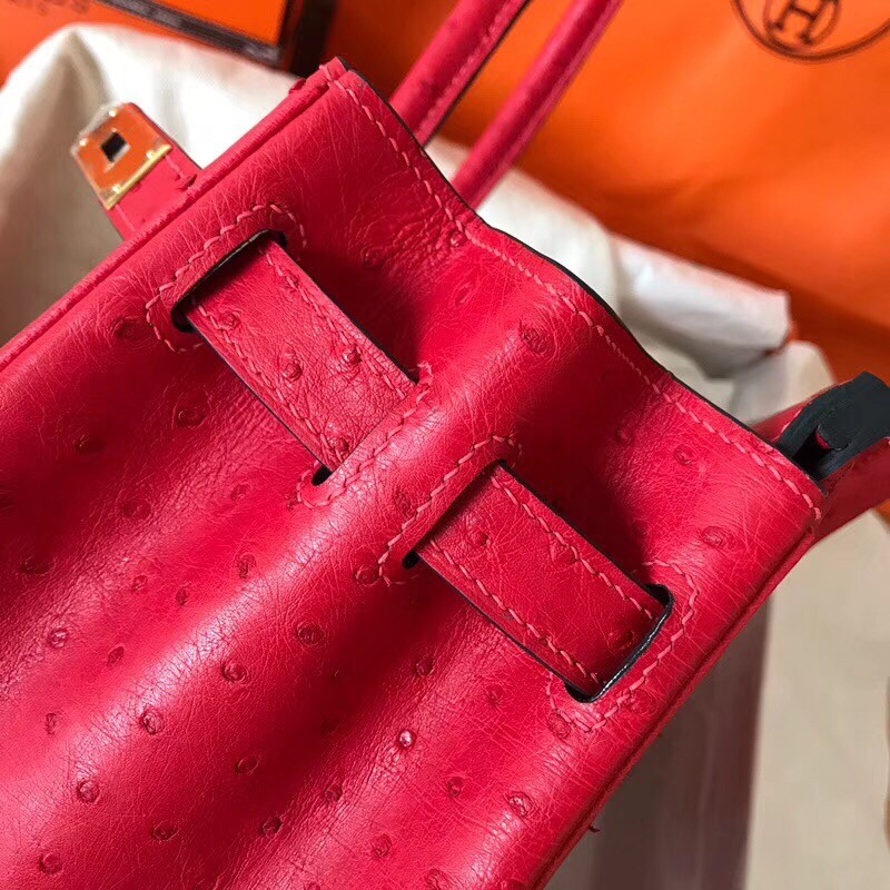 Hermes Red Birkin 30cm Ostrich Handmade Bag