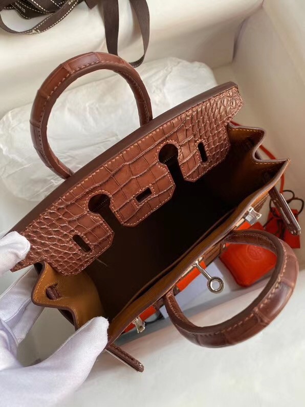 Hermes Brown Sac Faubourg Birkin 20 Sellier Limited Edition Bag