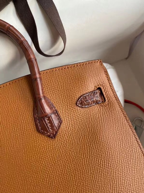 Hermes Brown Sac Faubourg Birkin 20 Sellier Limited Edition Bag