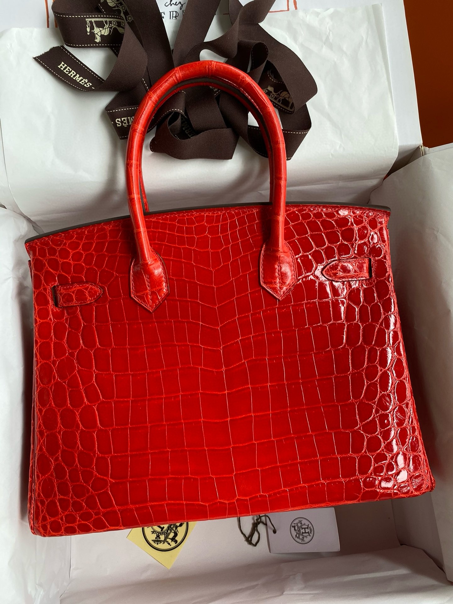 Hermes Birkin 25 Handmade Bag In Red Crocodile Niloticus Shiny Skin