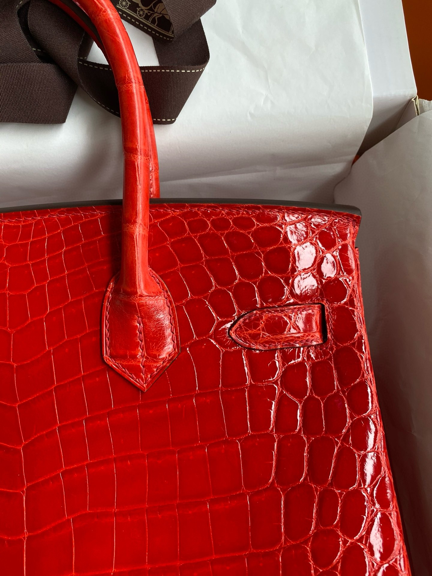 Hermes Birkin 25 Handmade Bag In Red Crocodile Niloticus Shiny Skin