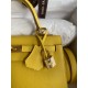 Hermes Kelly Sellier 25 Handmade Bag in Jaune de Naples Epsom Calfskin