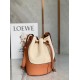 Loewe Small Balloon Bucket Bag In Canvas