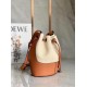 Loewe Small Balloon Bucket Bag In Canvas