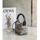 Loewe Small Cubi Hobo Bag in Ecru/Black Anagram Jacquard