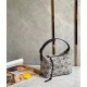 Loewe Small Cubi Hobo Bag in Ecru/Black Anagram Jacquard