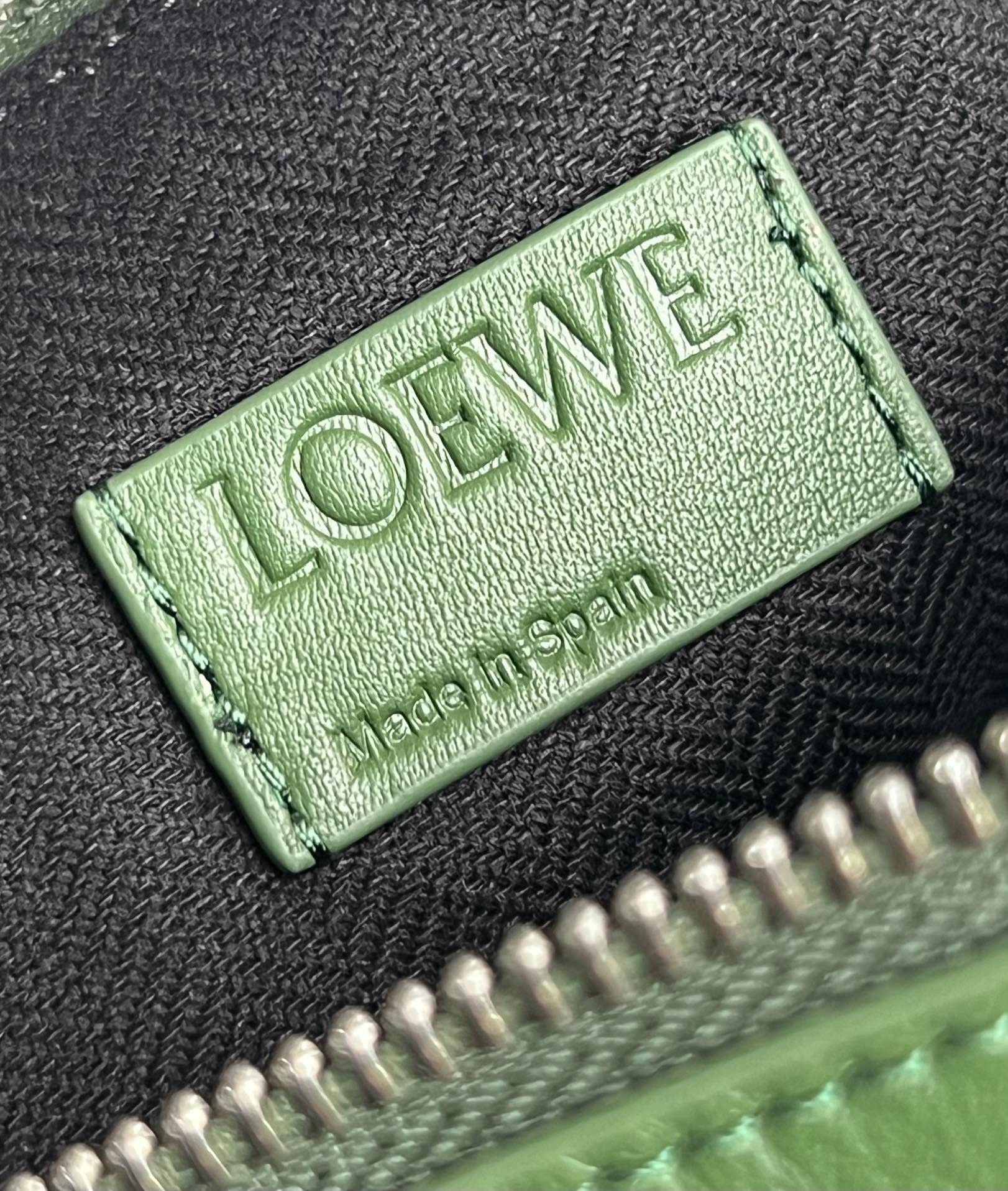 Loewe Cubi Small Bag in Green Calfskin and Jacquard