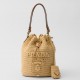 Prada Crochet Mini Bucket Bag in Natural Raffia-effect Yarn