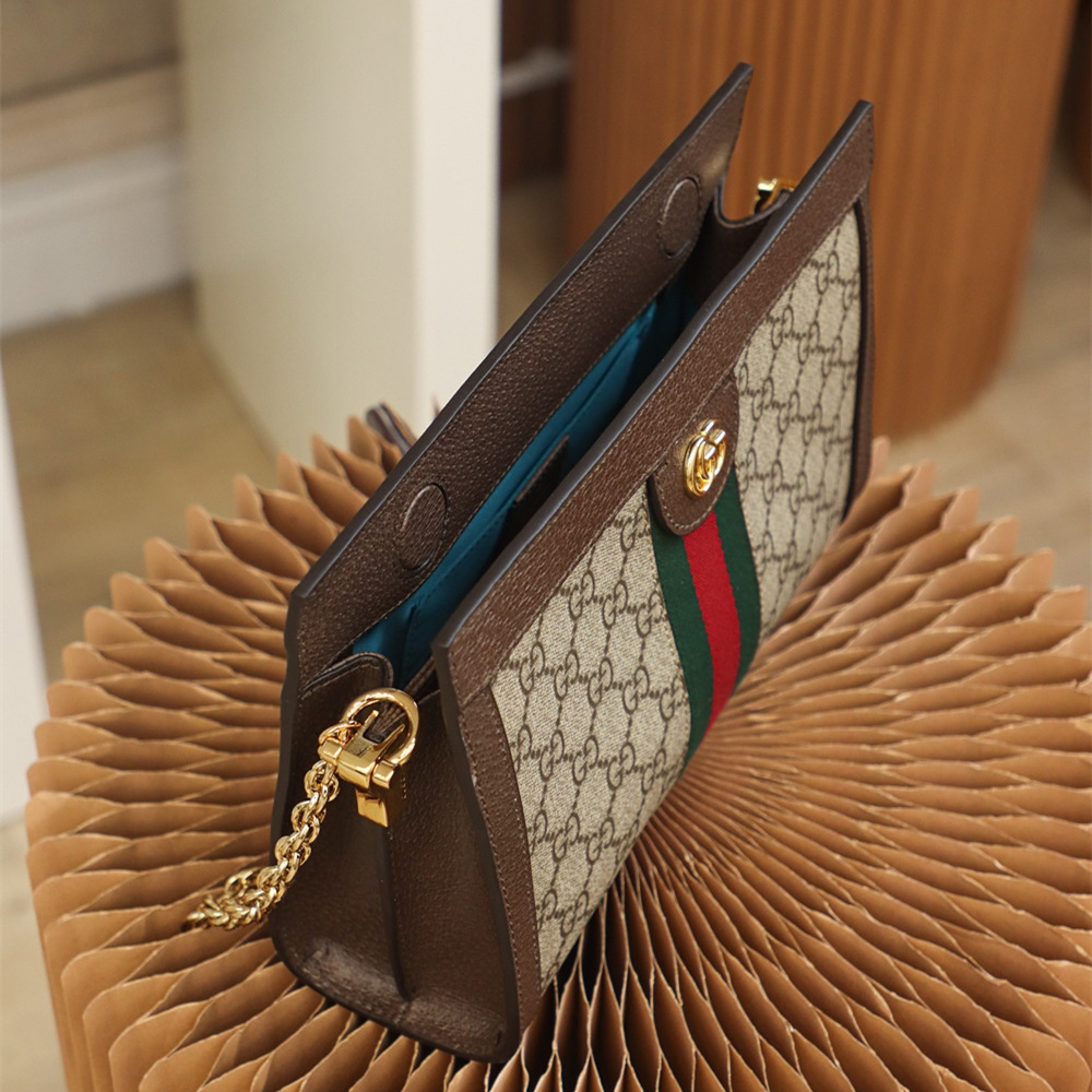 Gucci Ophidia Series Classic Brown Leather