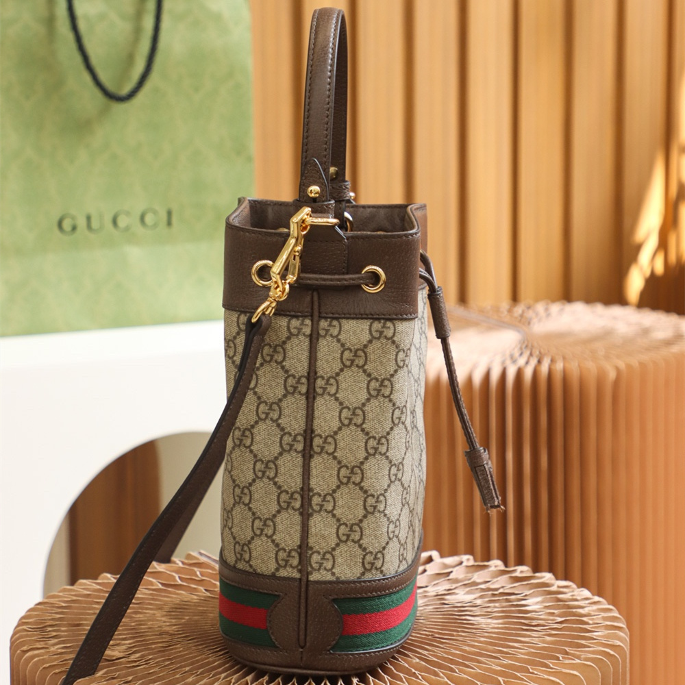 Gucci Bucket Bag Ophidia Series