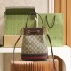 Gucci Bucket Bag Ophidia Series