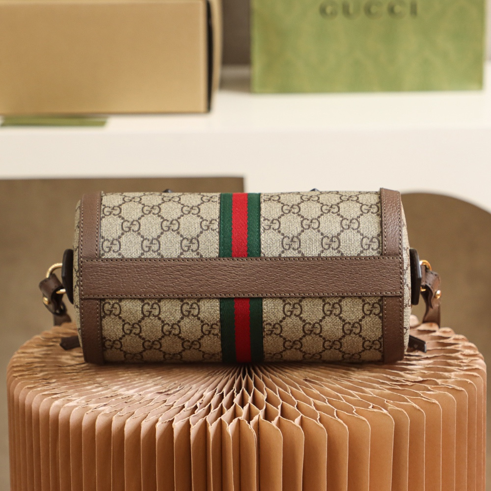 Gucci Women's Boston Handbag Ophidia Series