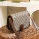 Gucci Messenger Bag Ophidia Series