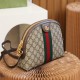 Gucci Women's Shell Bag Ophidia Series