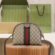 Gucci Women's Shell Bag Ophidia Series