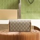 Gucci Clutch Shoulder Bag Horsebit Series