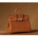 Hermes Birkin 25