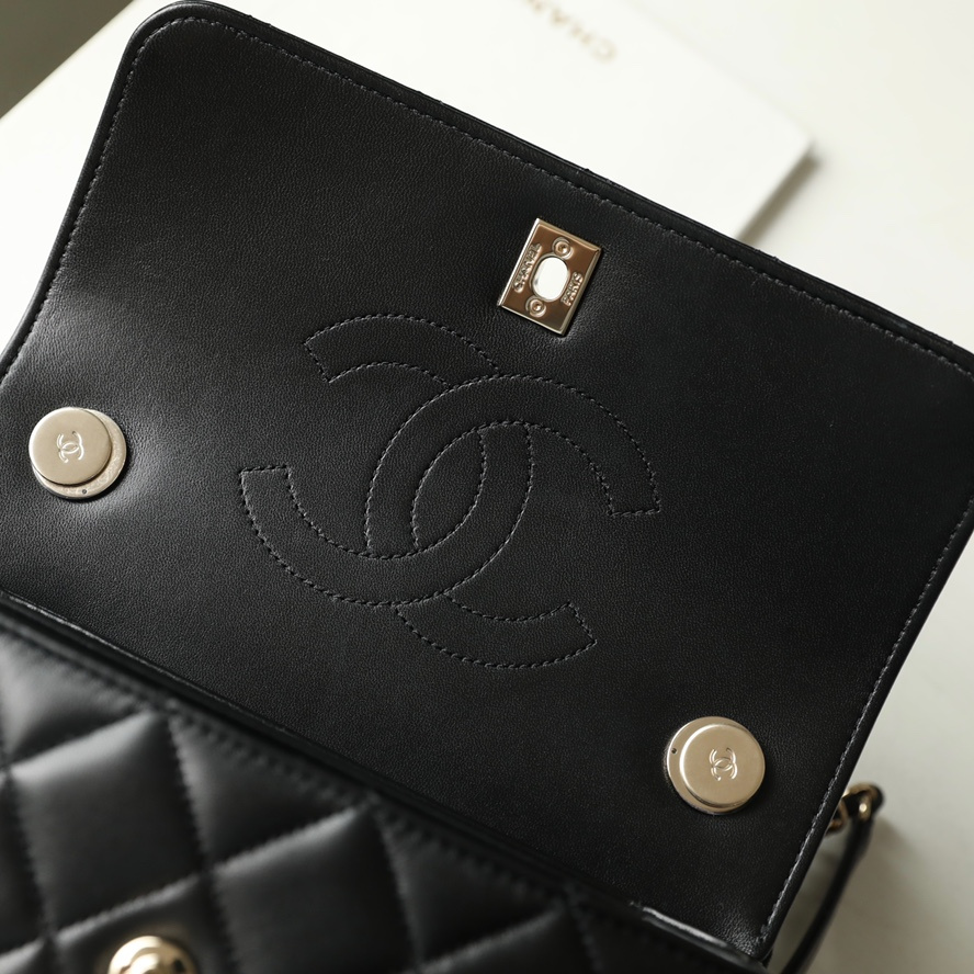 Chanel Handle Flap Bag Light Gold Buckle