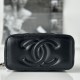 Chanel Black Handheld Cosmetic Bag