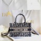 Dior 2024 Book Tote Series Monogram Mini Tote