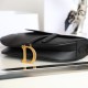 Dior Saddle Bag Series Black Medium