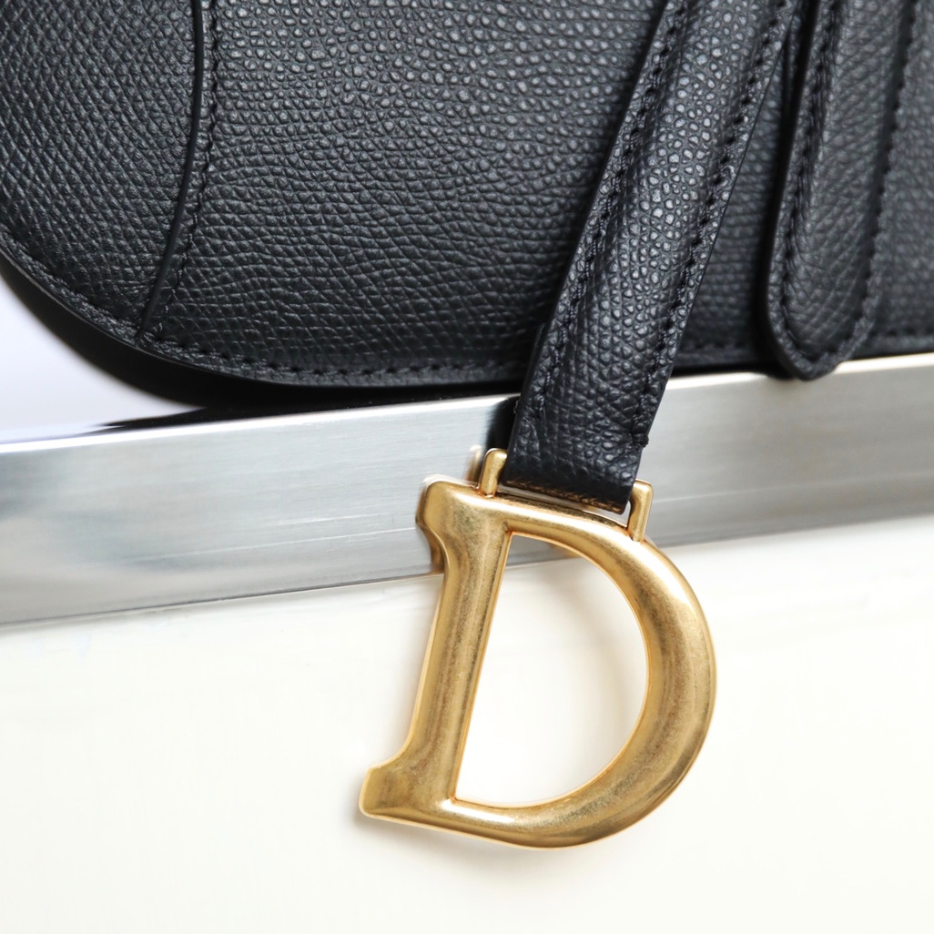 Dior Saddle Bag Series Black Small