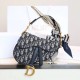 Dior Saddle Bag Oblique Monogram Series Small