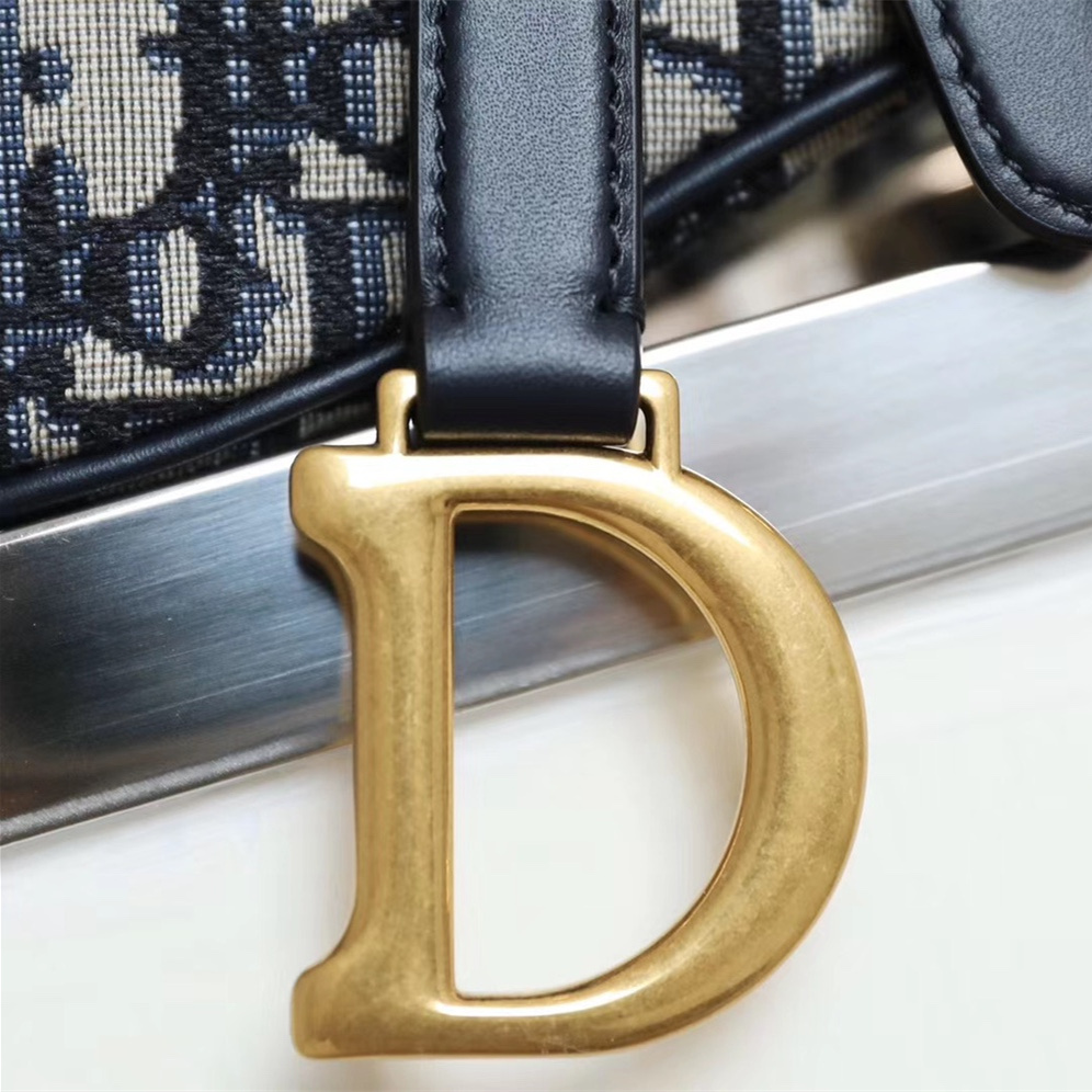 Dior Saddle Bag Oblique Monogram Series Small