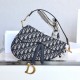 Dior Saddle Bag Oblique Monogram Series Medium