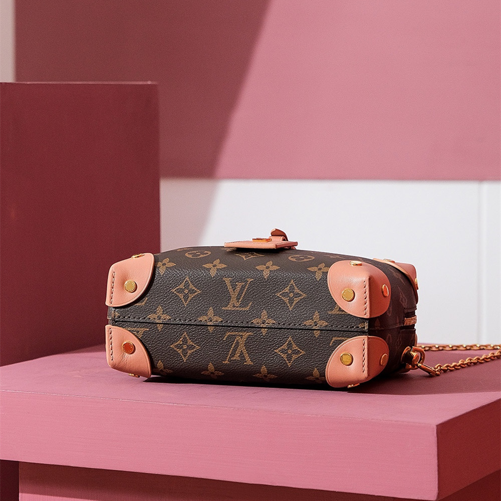 Louis Vuitton PetiteMalleAouple M45531