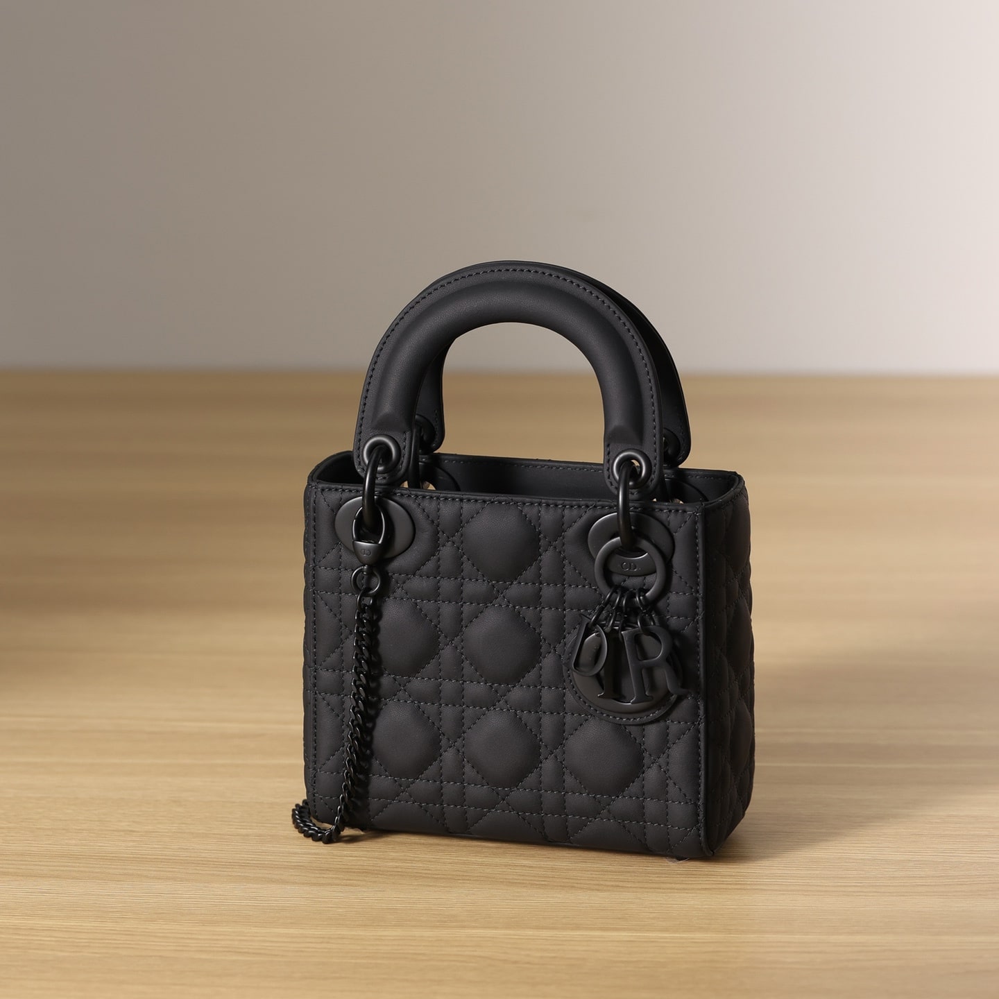 Dior Lady Series Leather Handheld Bag Mini